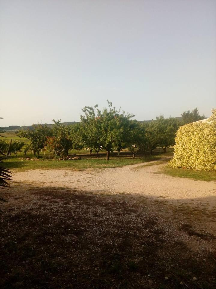 Residenza Agrituristica Santa Lucia Con Piscina Apartment Алгеро Екстериор снимка