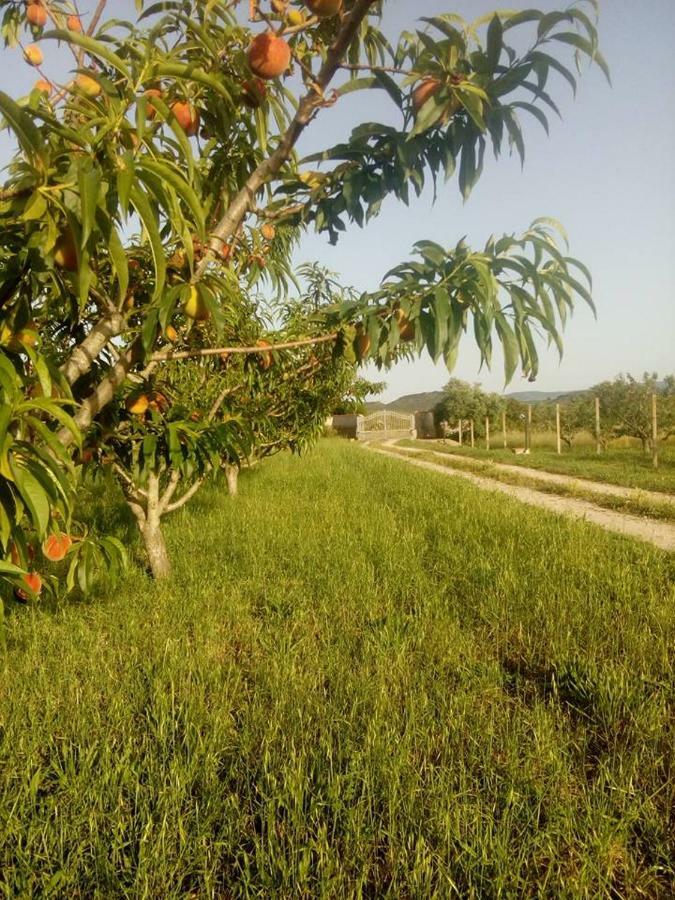 Residenza Agrituristica Santa Lucia Con Piscina Apartment Алгеро Екстериор снимка