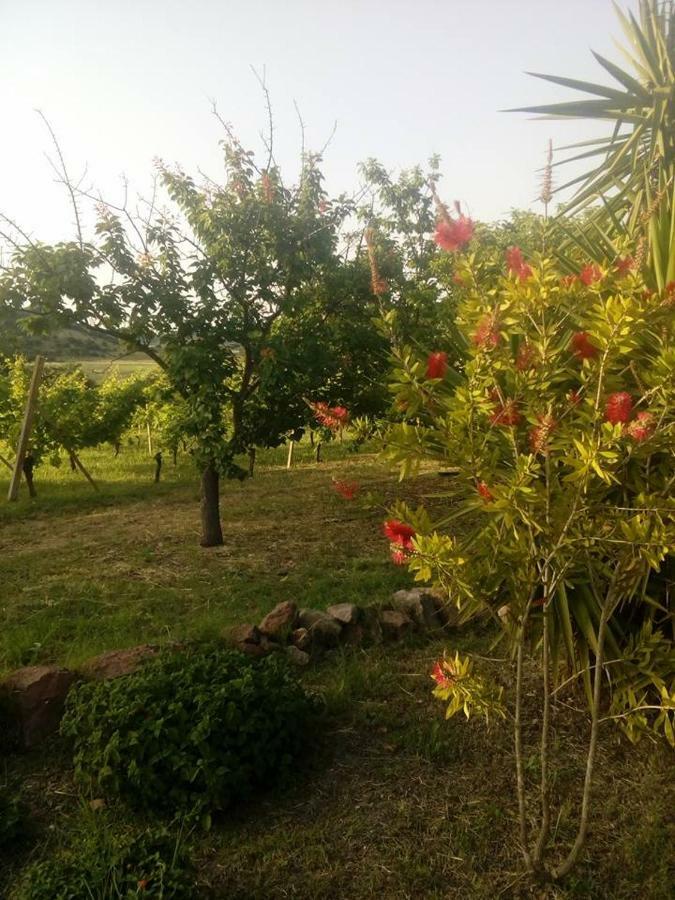 Residenza Agrituristica Santa Lucia Con Piscina Apartment Алгеро Екстериор снимка